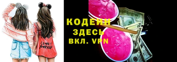 МДПВ Богородск