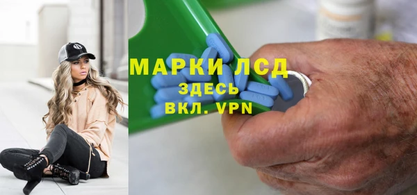 индика Богородицк