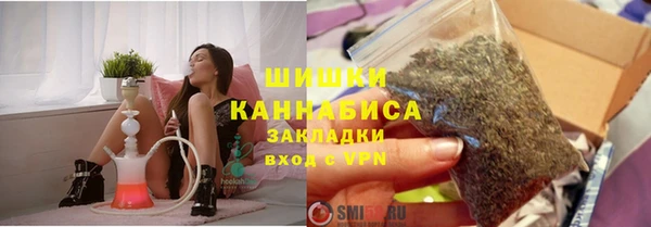 индика Богородицк