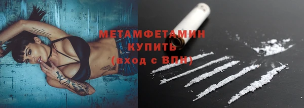 индика Богородицк