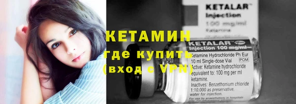индика Богородицк