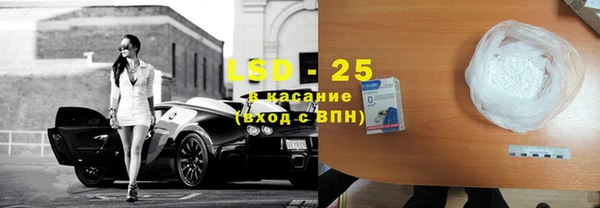 индика Богородицк