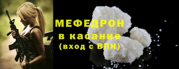 индика Богородицк