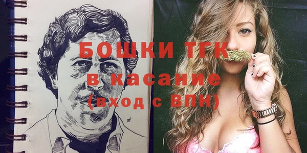 индика Богородицк