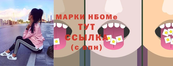 индика Богородицк