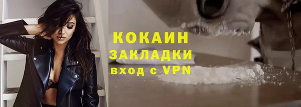 индика Богородицк