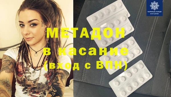 индика Богородицк