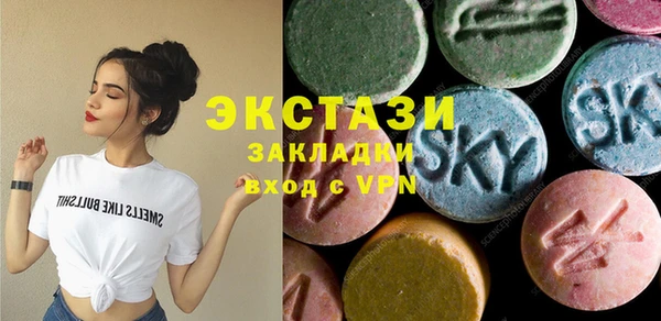 индика Богородицк