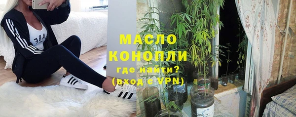 индика Богородицк