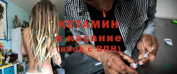 индика Богородицк