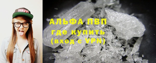 индика Богородицк