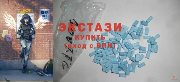 индика Богородицк