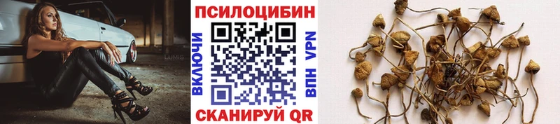 Псилоцибиновые грибы GOLDEN TEACHER  MEGA   Тбилисская  где можно купить  
